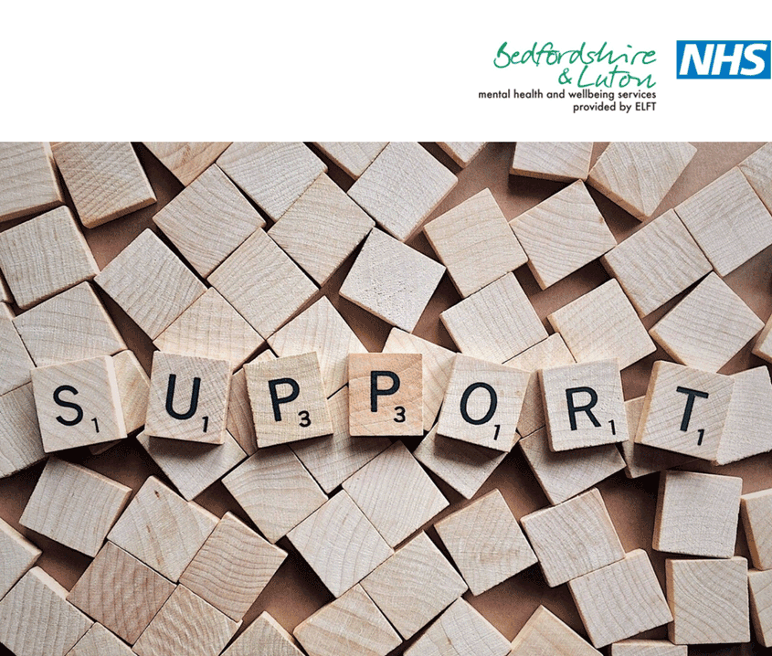 Crisis-Team-Carers-Group