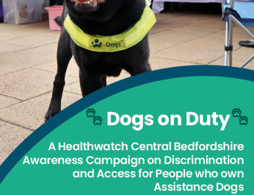 Dogs on Duty campaign day